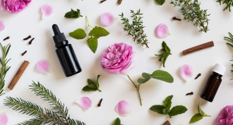 Essential oils, flowers, and leaves—Can you put essential oils in the dryer?