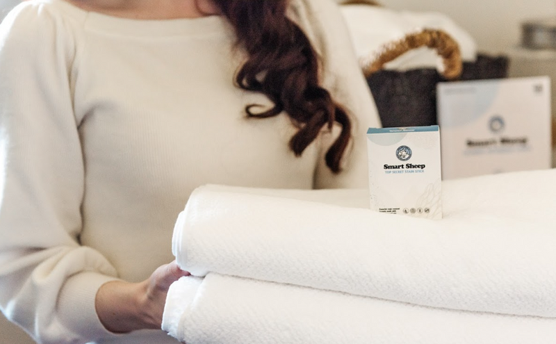 A Guide to Eco Friendly Stain Removers