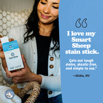 Eco-Friendly Top Secret Stain Stick 2-Pack